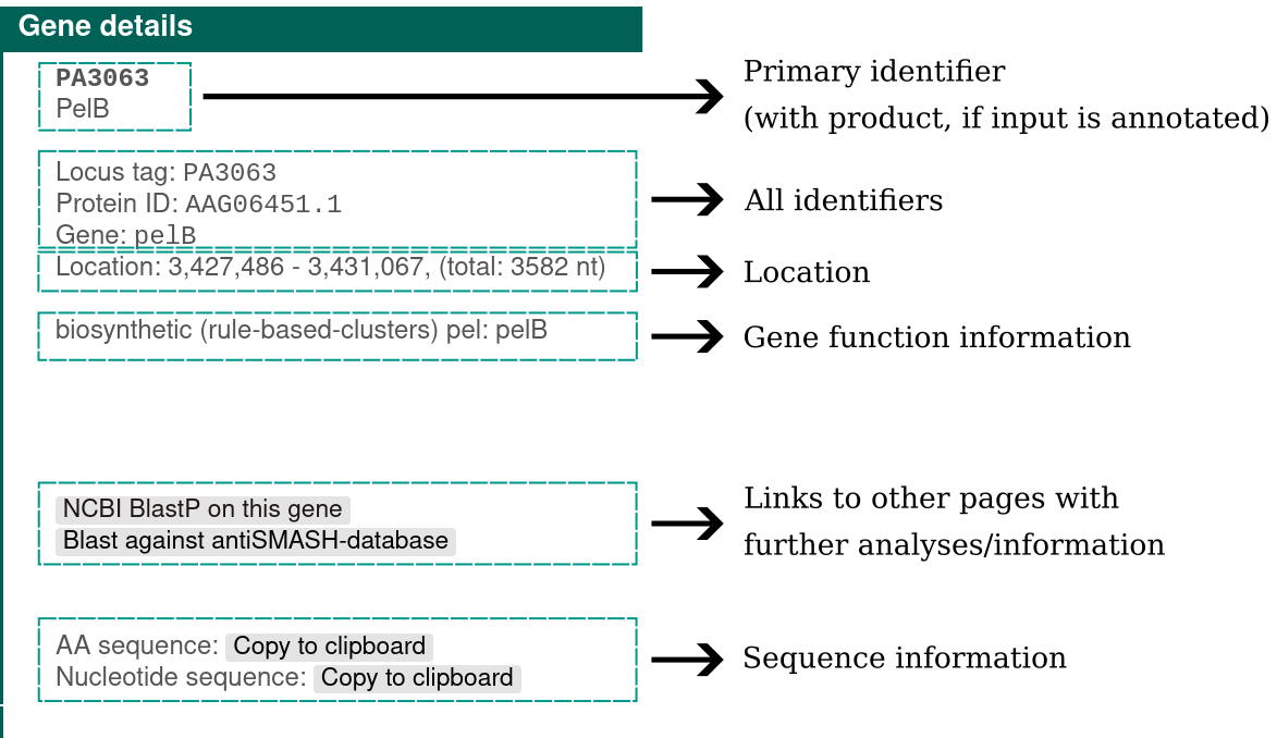 Gene details display